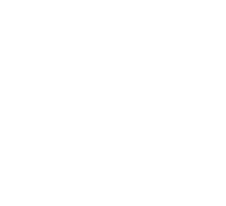 FiscalFusion