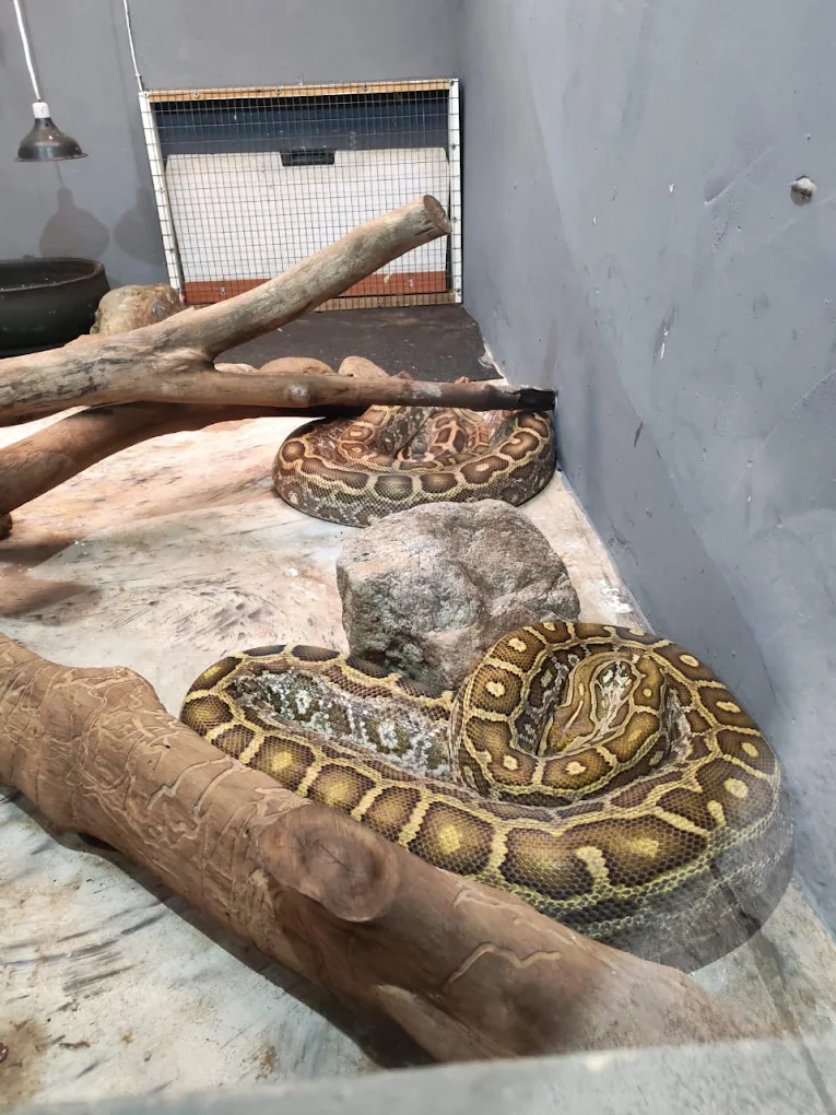 Pure Venom Reptile Park
