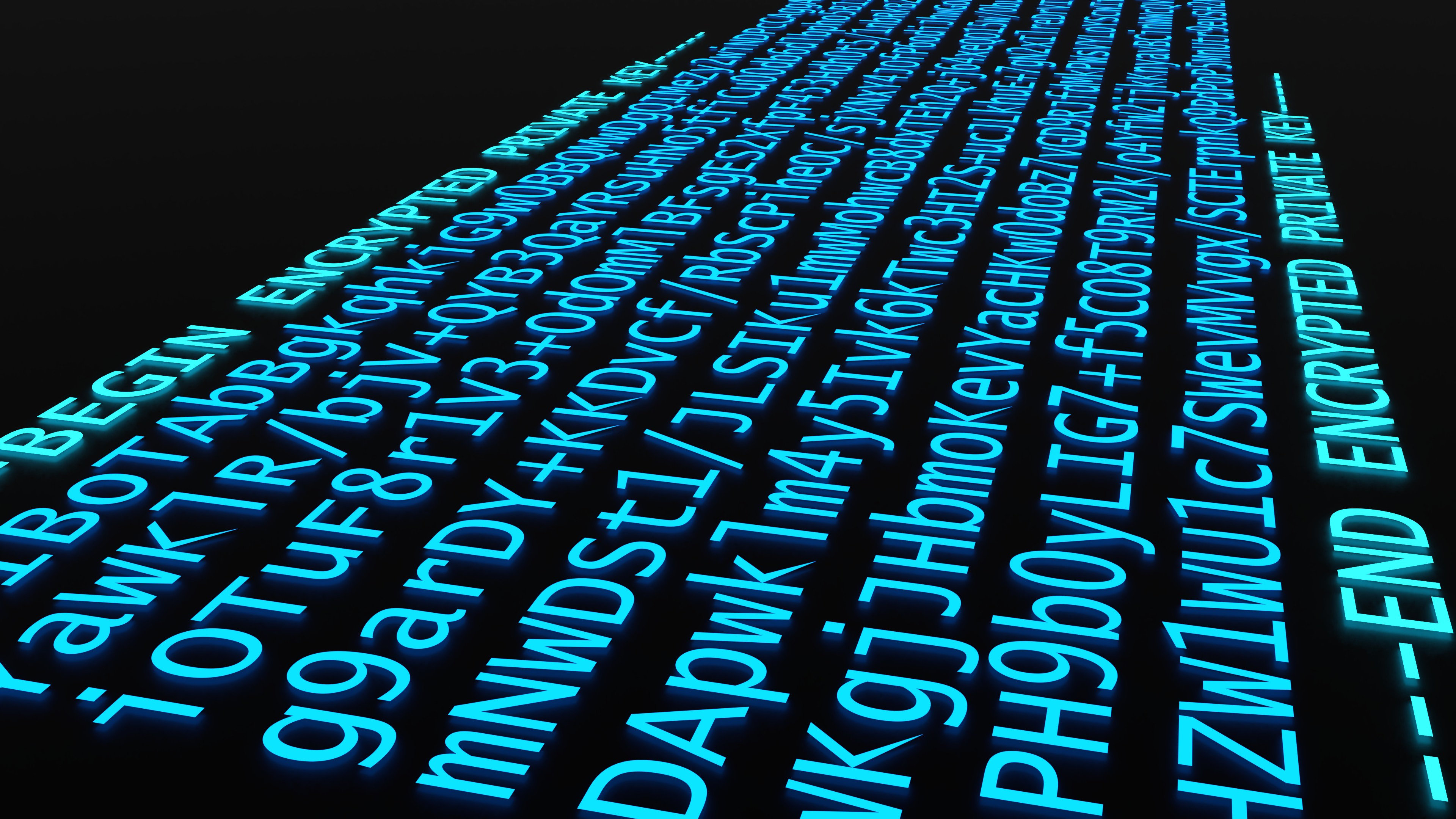 Encrypted private key: encrypted in transit and at rest