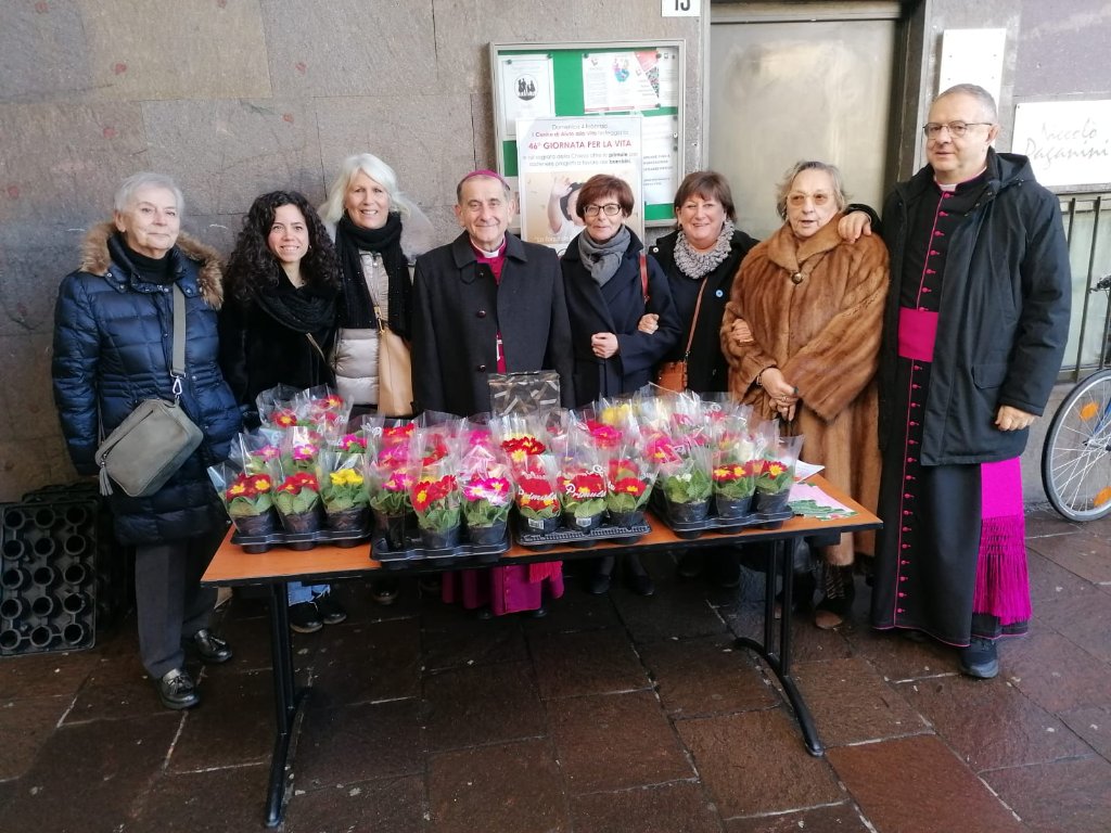 Una Primula per la Vita