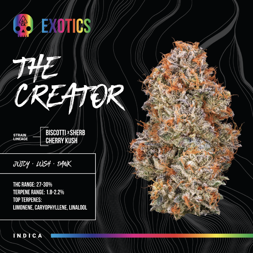 The Creator