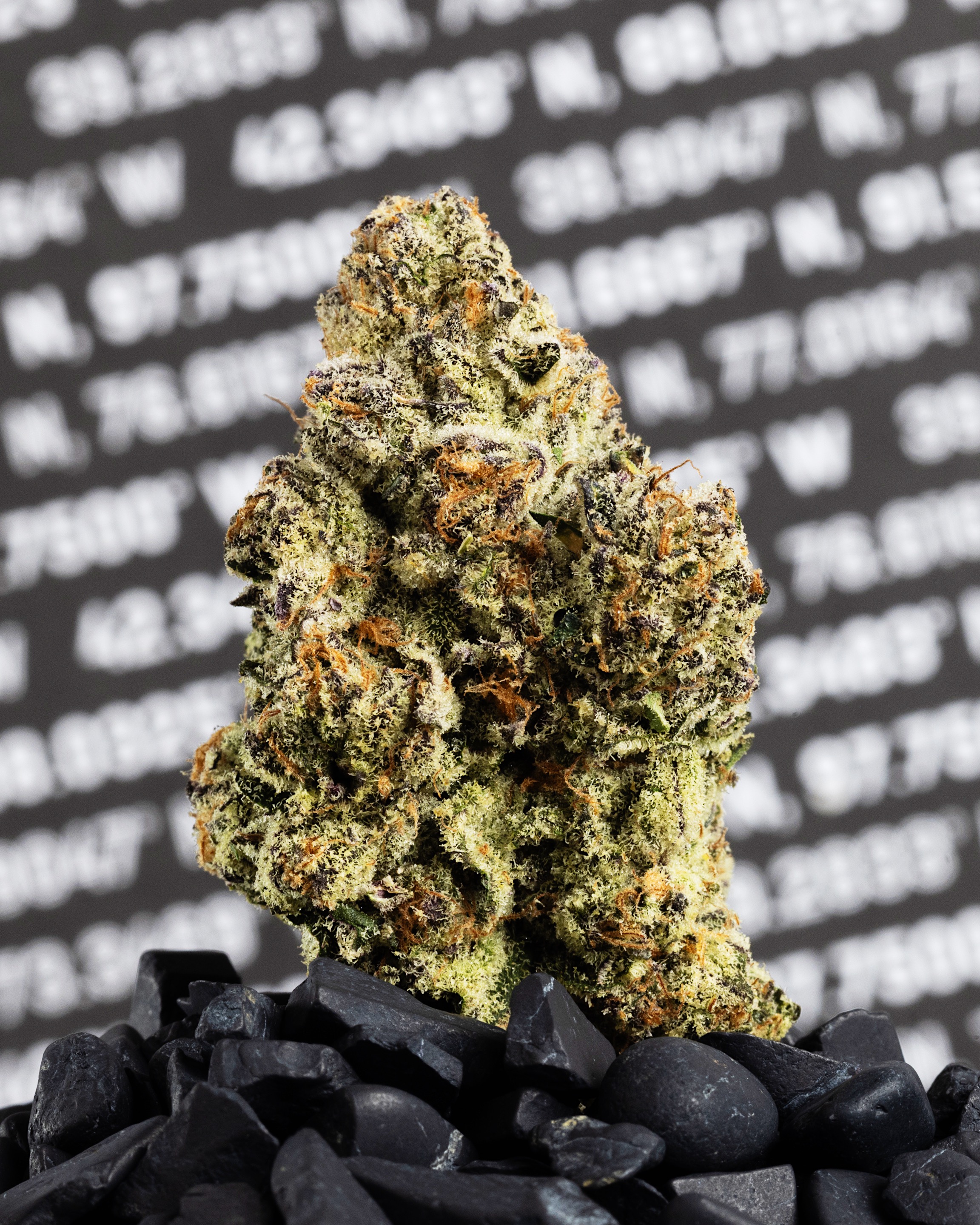 Coffin Candy