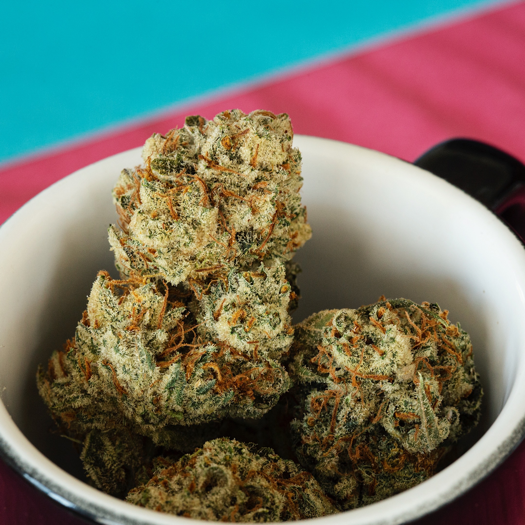 MK Ultra