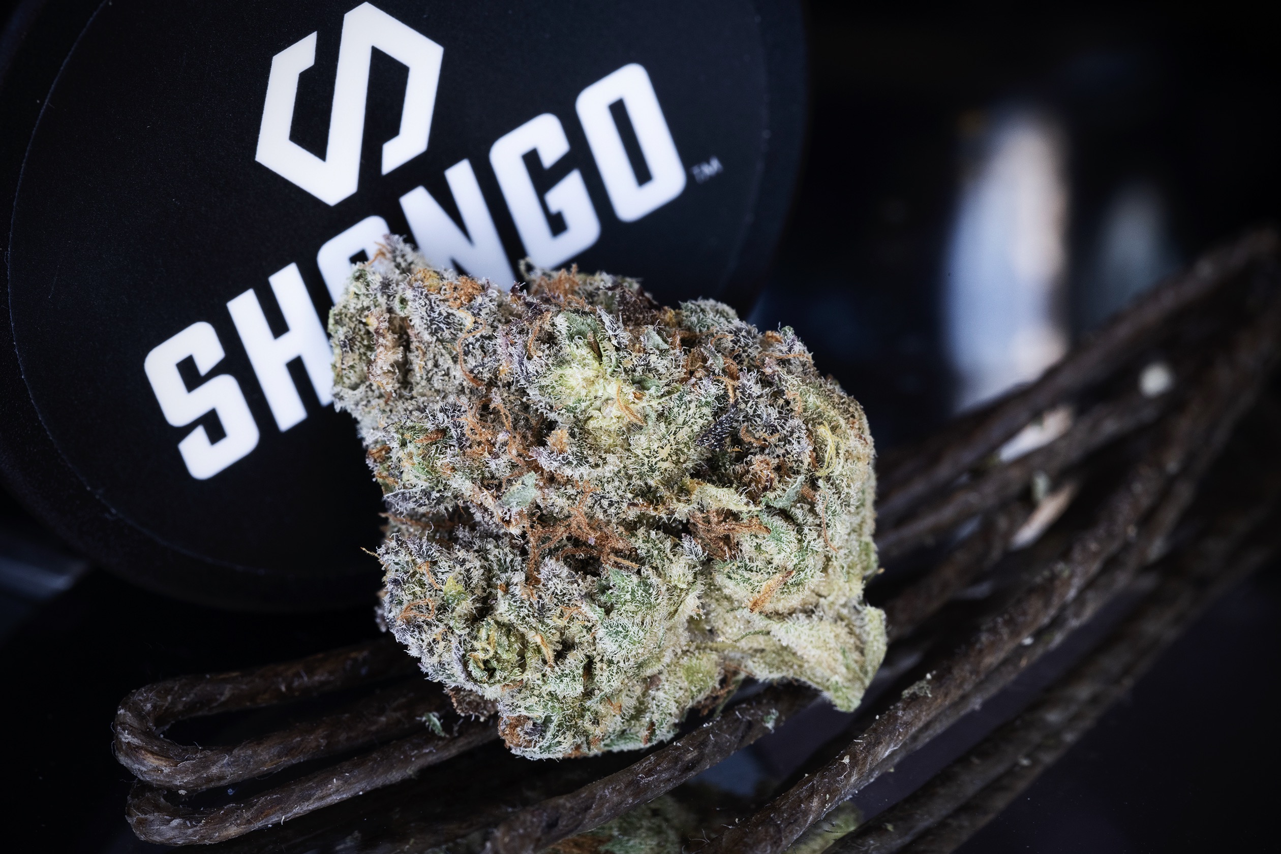 Alien Cookies