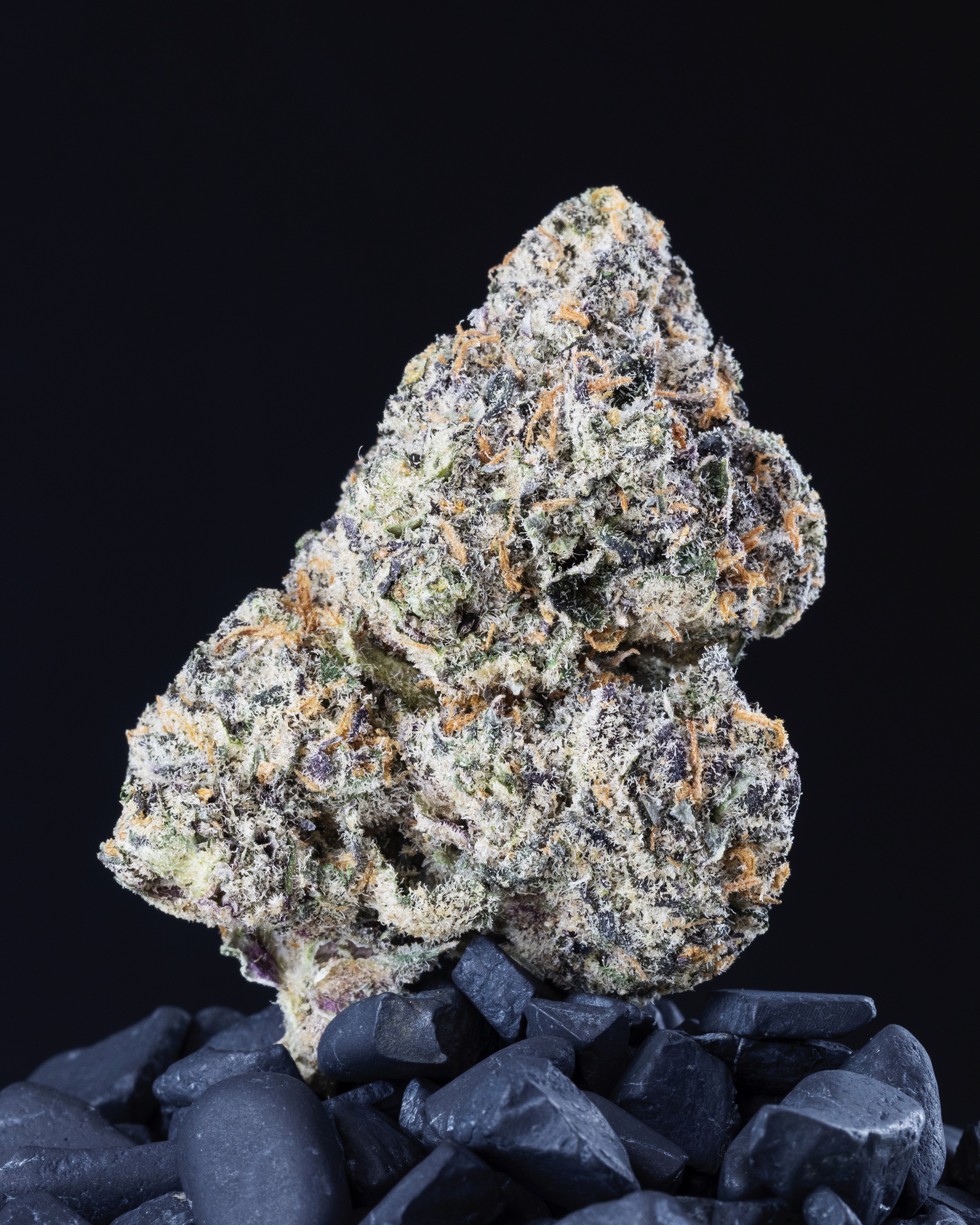 The Cannabis Strain Library That Changed How Brands and Consumers Connect With Cannabis