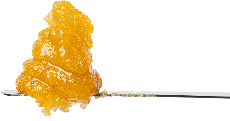Field Extracts