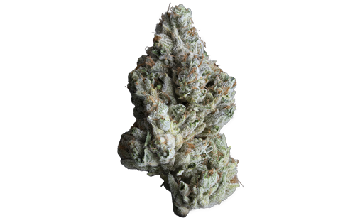 Silver Iris OG