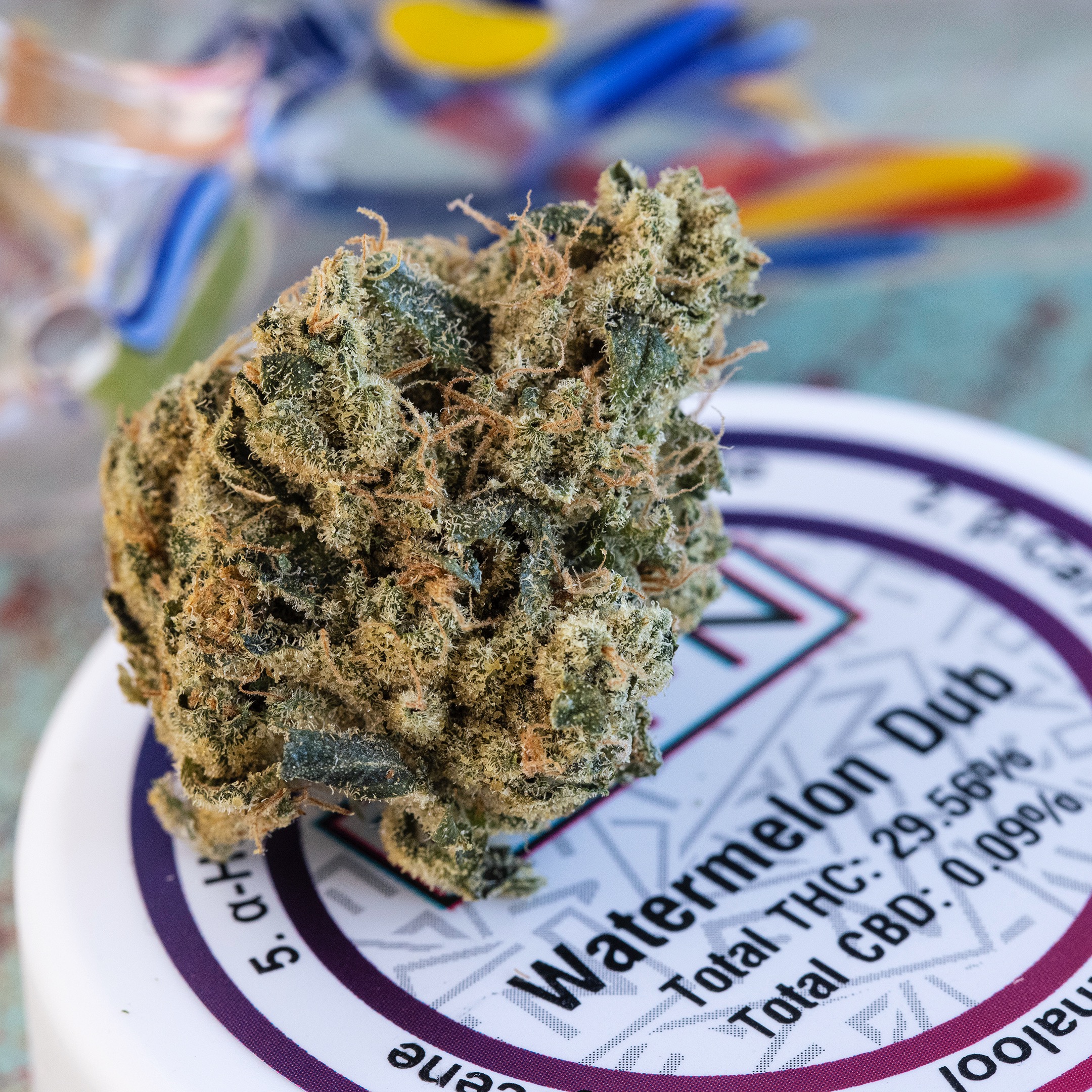 Watermelon Dub