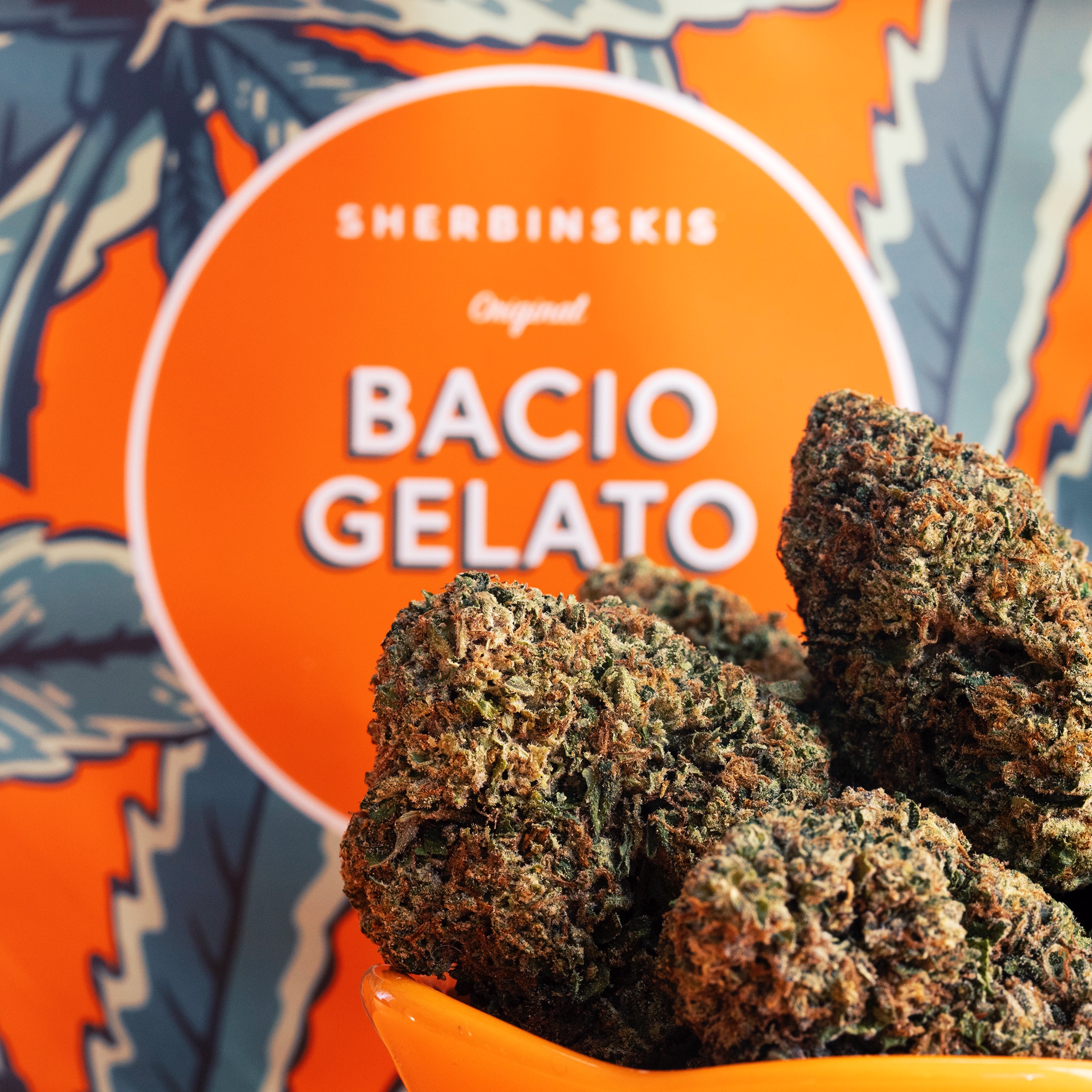 Bacio Gelato