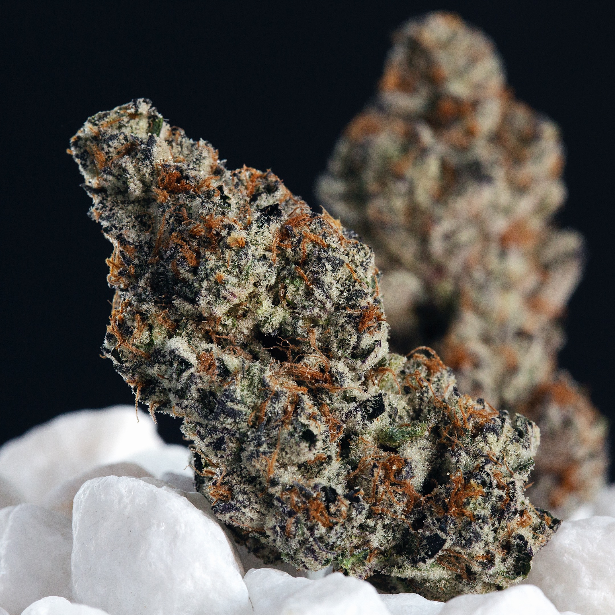 Orange Cookie Dough