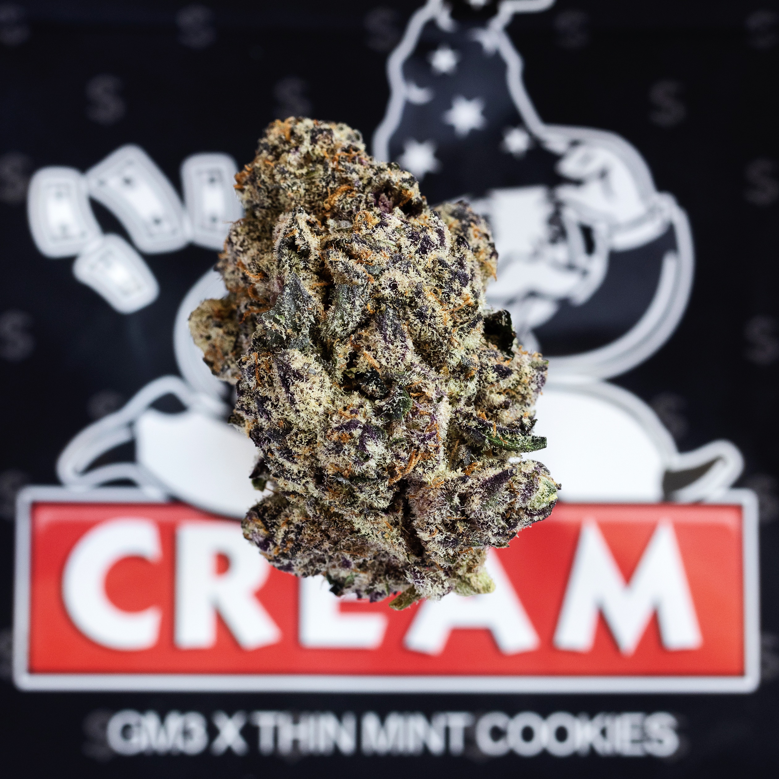 C.R.E.A.M