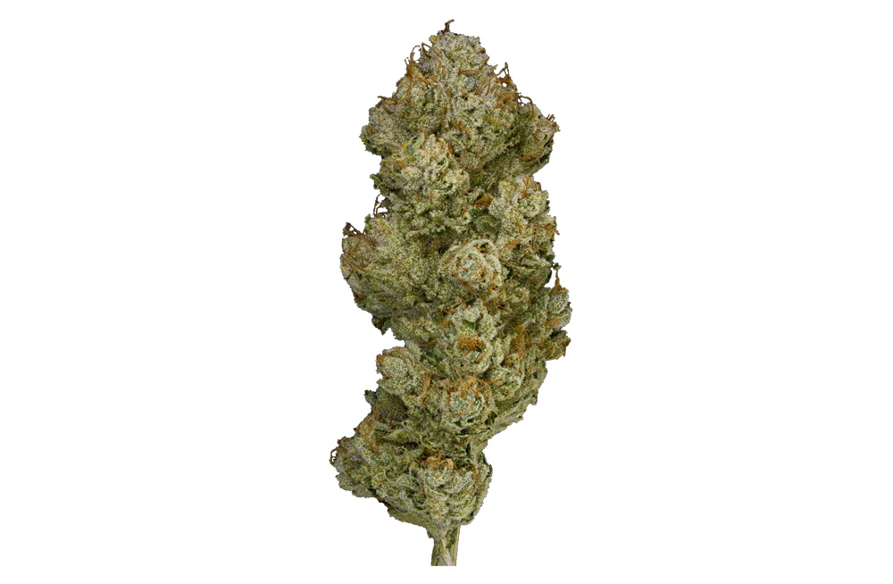 Saturn OG