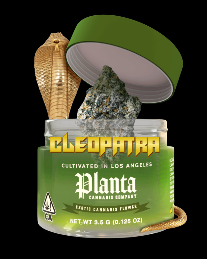 Cleopatra