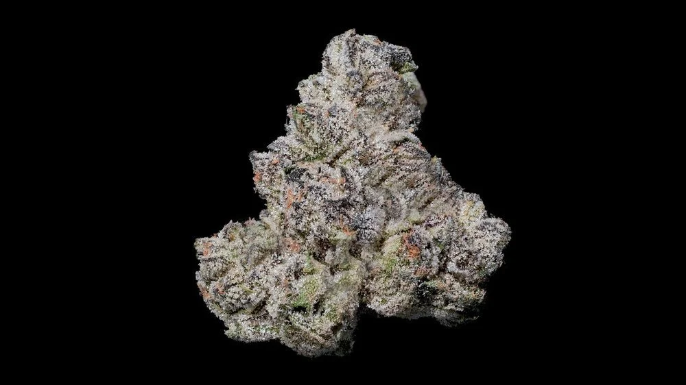 Black Diamond X