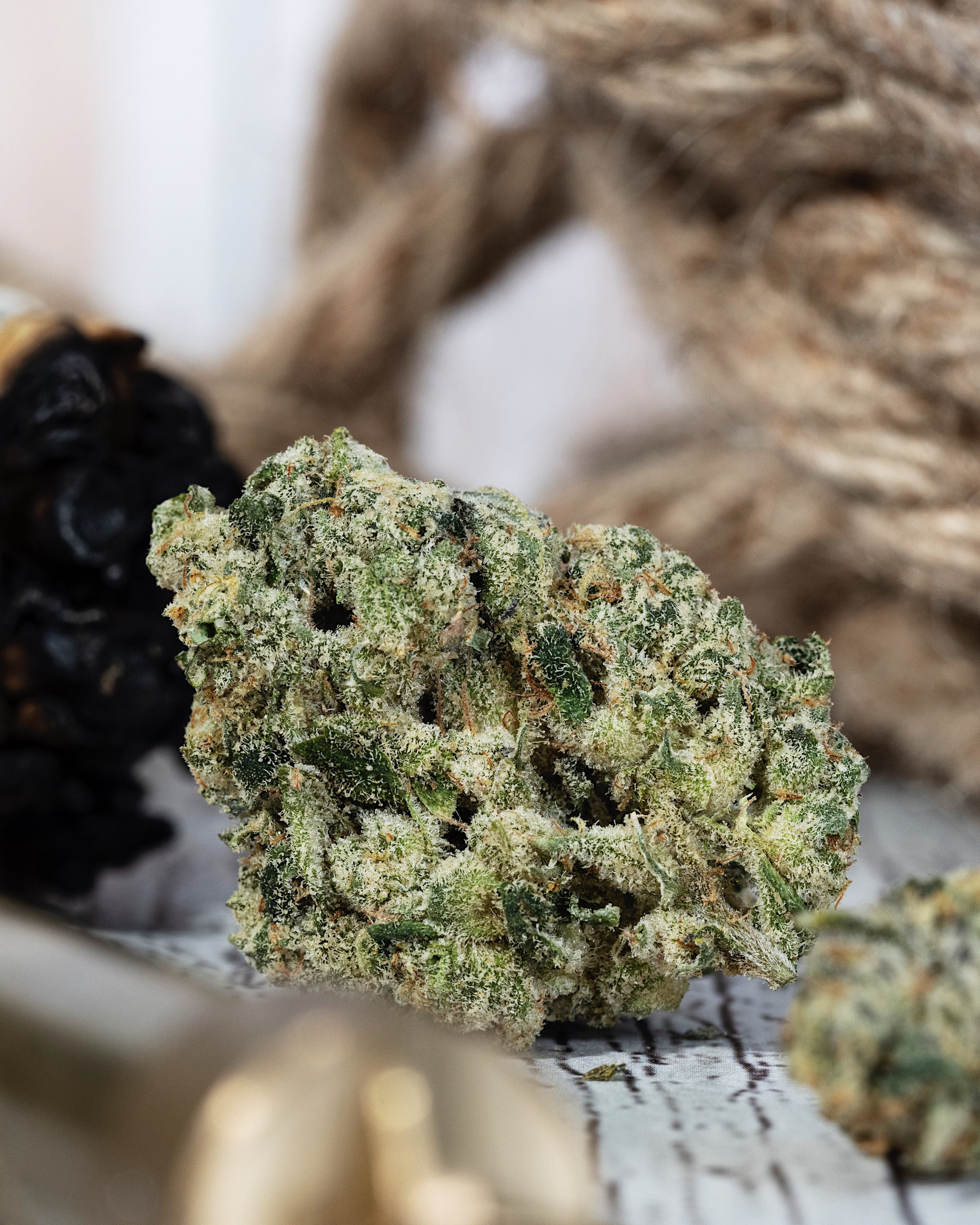 Toad Venom Strain Review: The Most Controversial New Strain of 2026