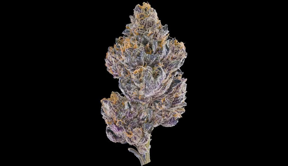 Grape Ambrosia
