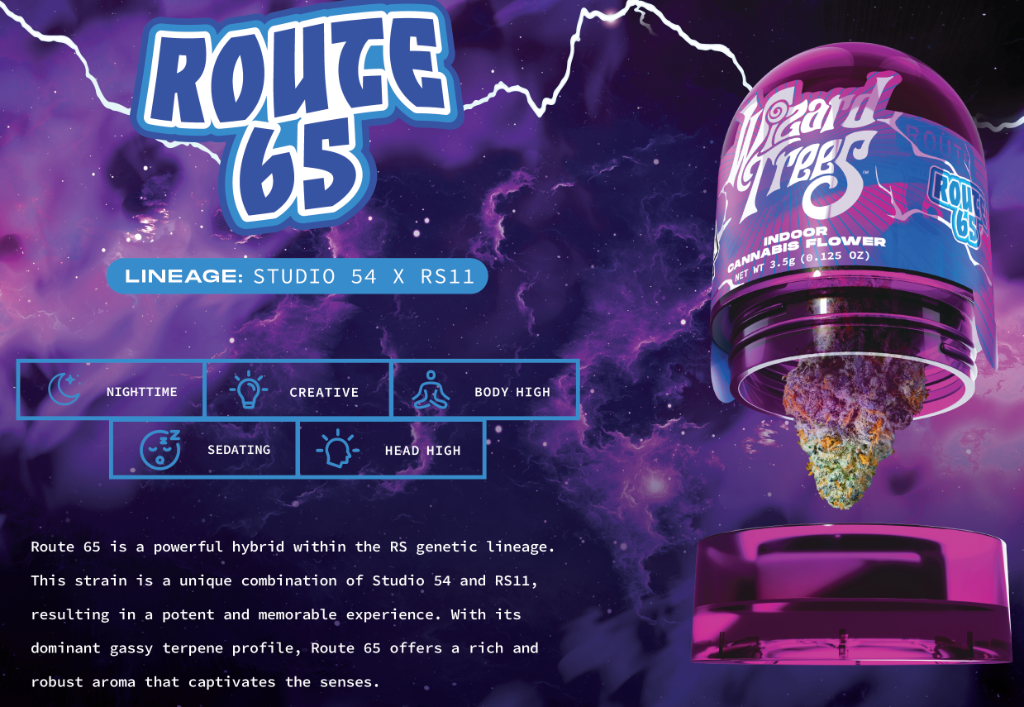 Route 65