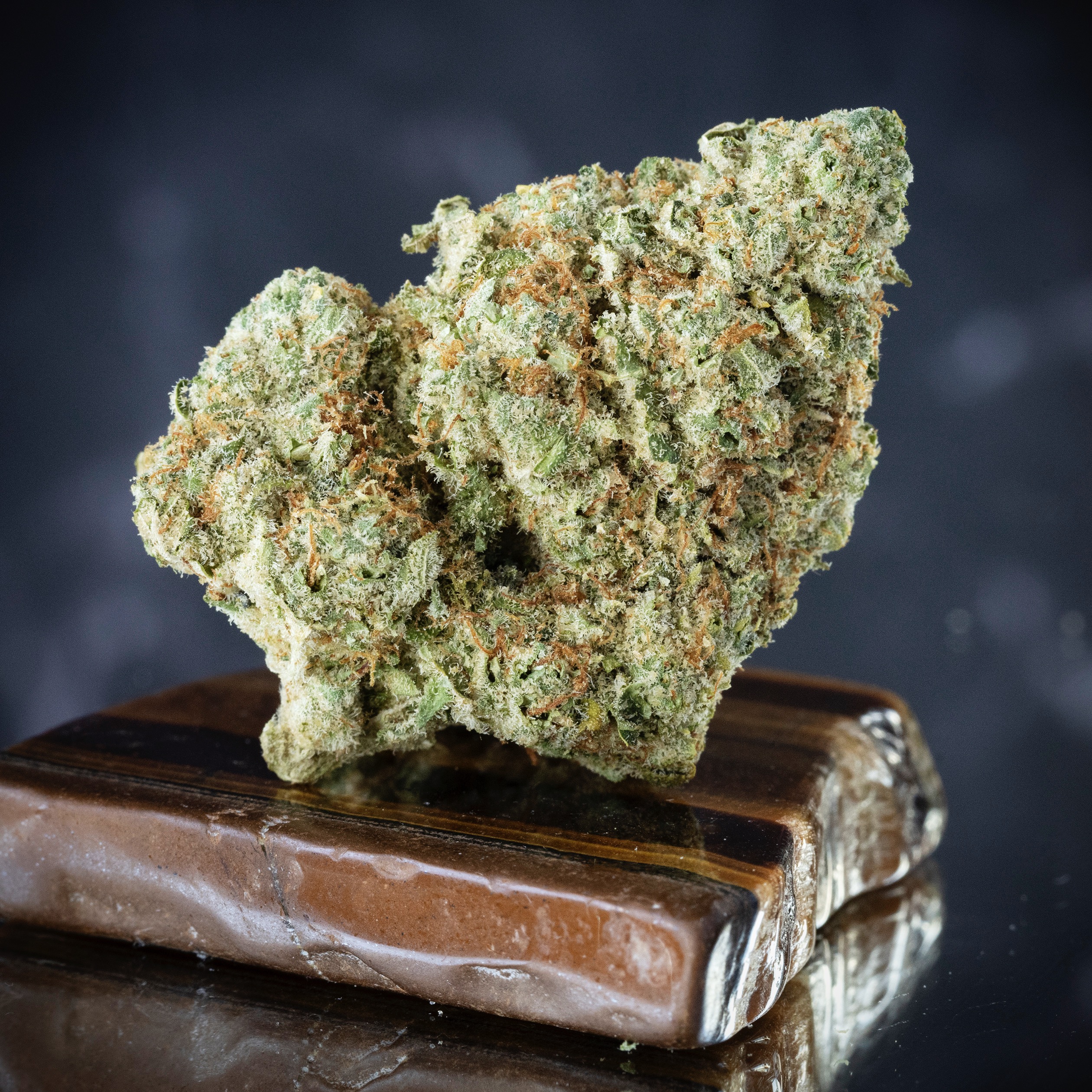 Zkittles Mints