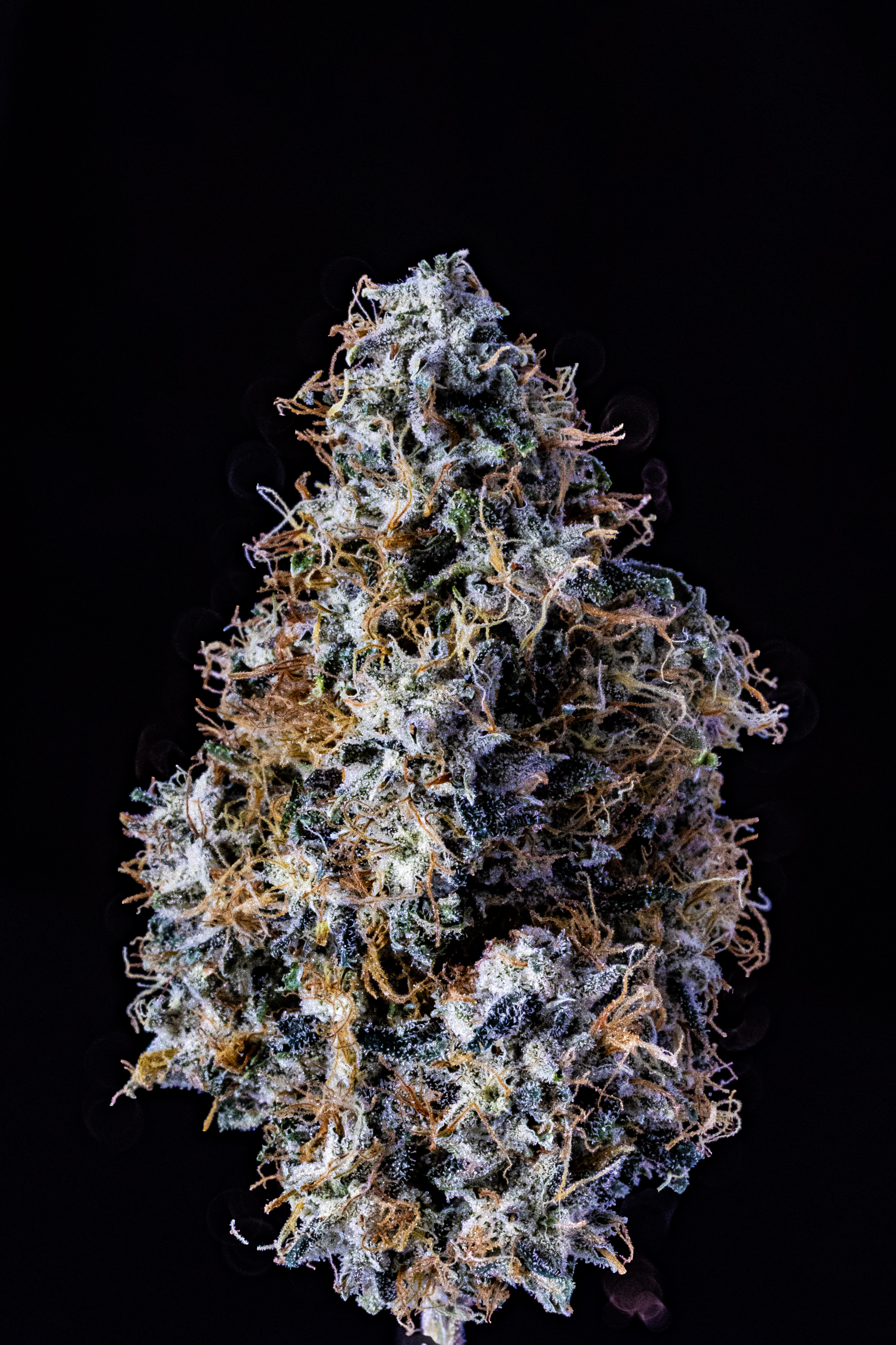 Fire OG