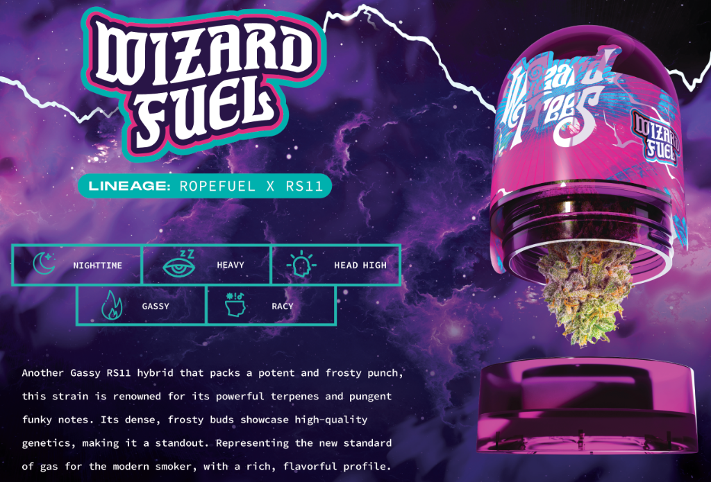 Wizard Fuel