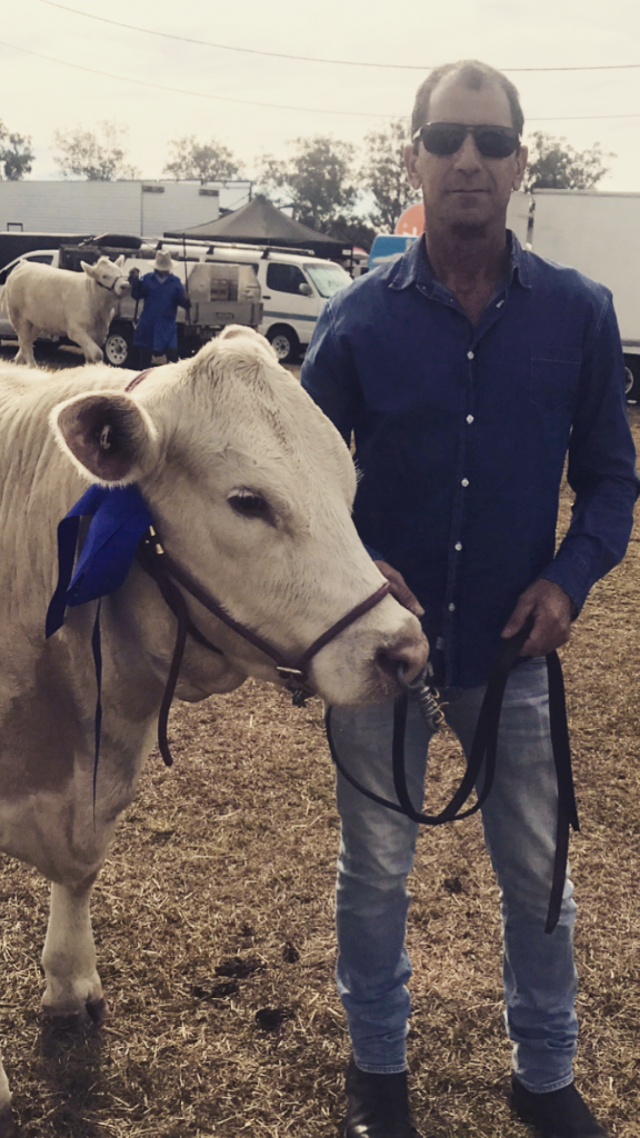 Black Duck Charolais 13