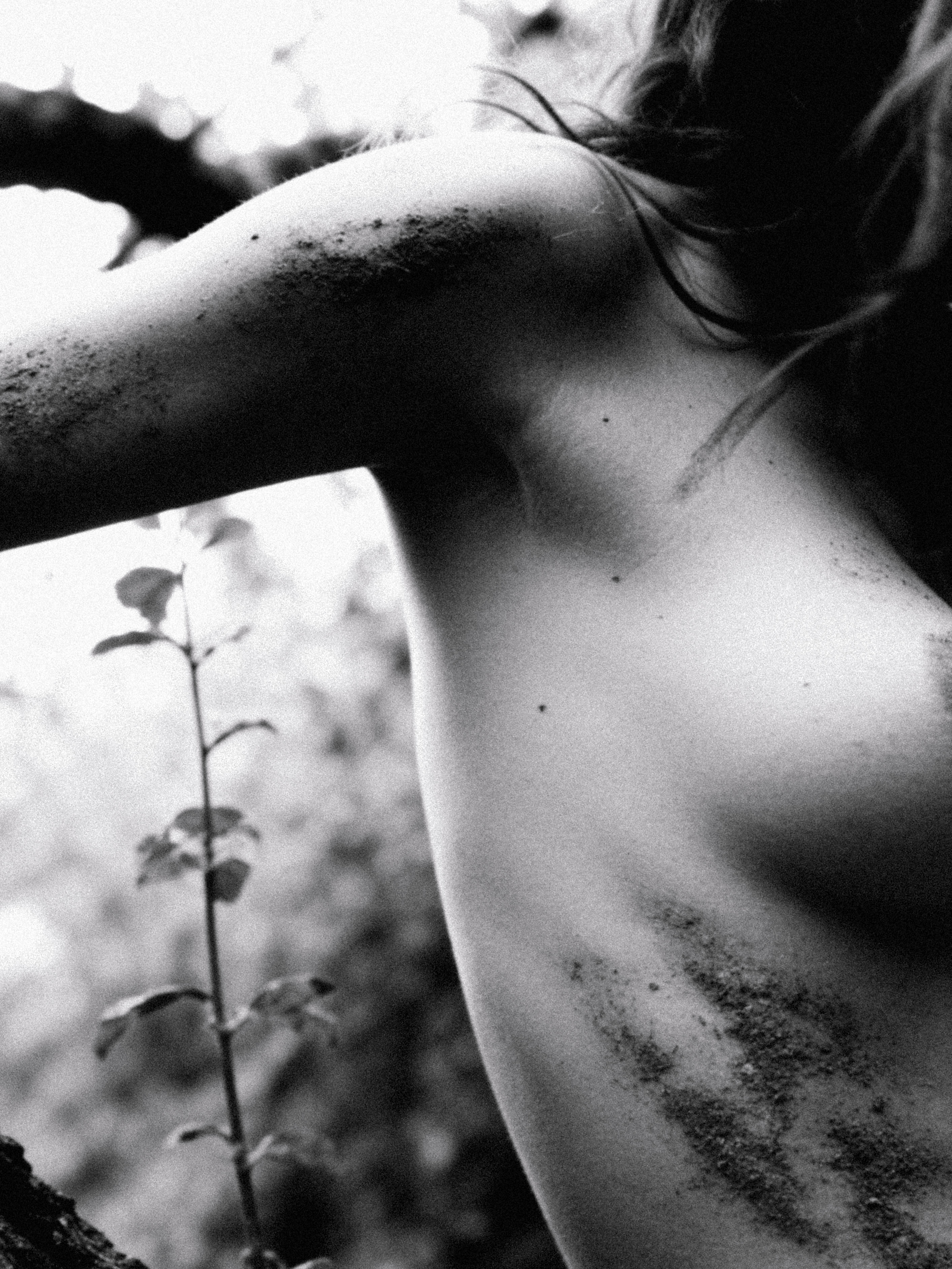 Natural Detail