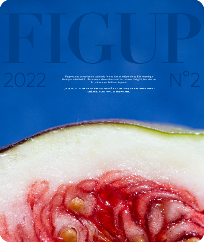Figup