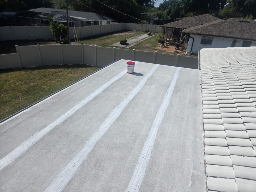 Before — Flat Roof Coating & Waterproofing