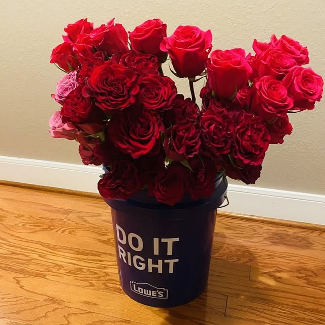 Seau de roses rouges en grande quantité