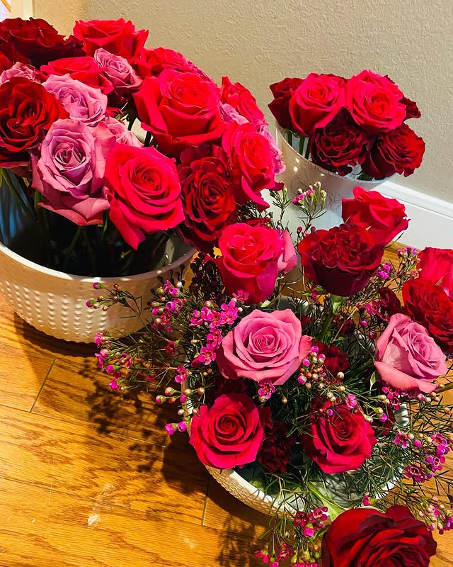 Collection de roses rouges et roses sur parquet