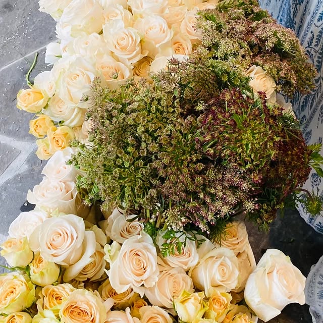 Abondance de roses blanches et crème vue du dessus