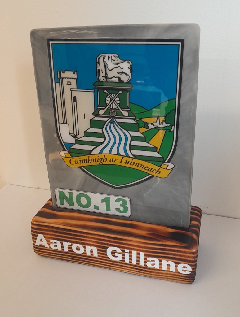 Aaron Gillane resin plaque with Limerick coat of arms on scorched wood