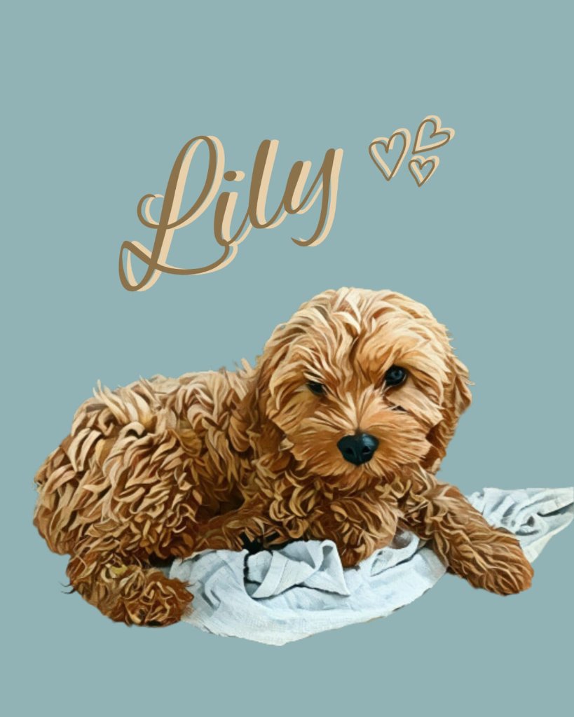Lily dog digital portrait with gold text