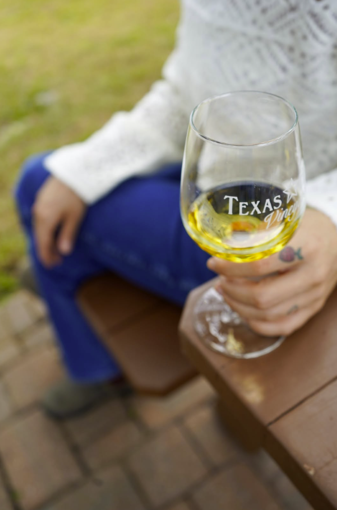 Vineyard photo