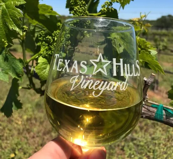 The Vineyard Grounds