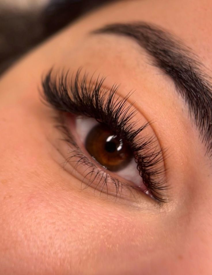 Eyebrow waxing and tinting at Bliss Nail Lounge Fort Myers