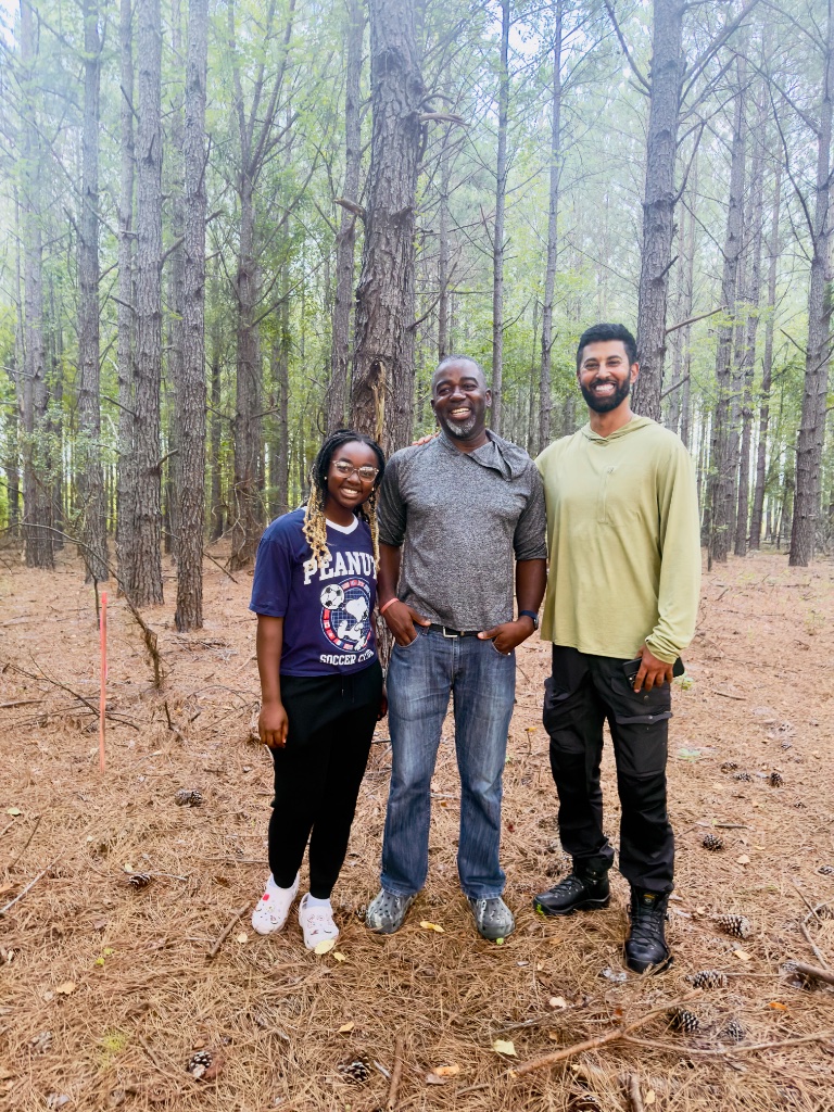 Walking the plots