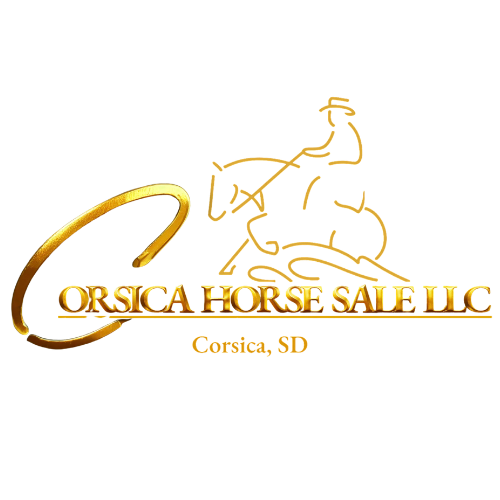 Corsica Horse Sale LLC