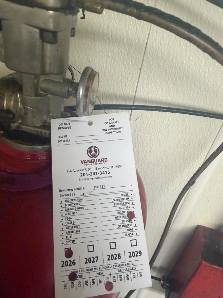 Fire suppression inspection