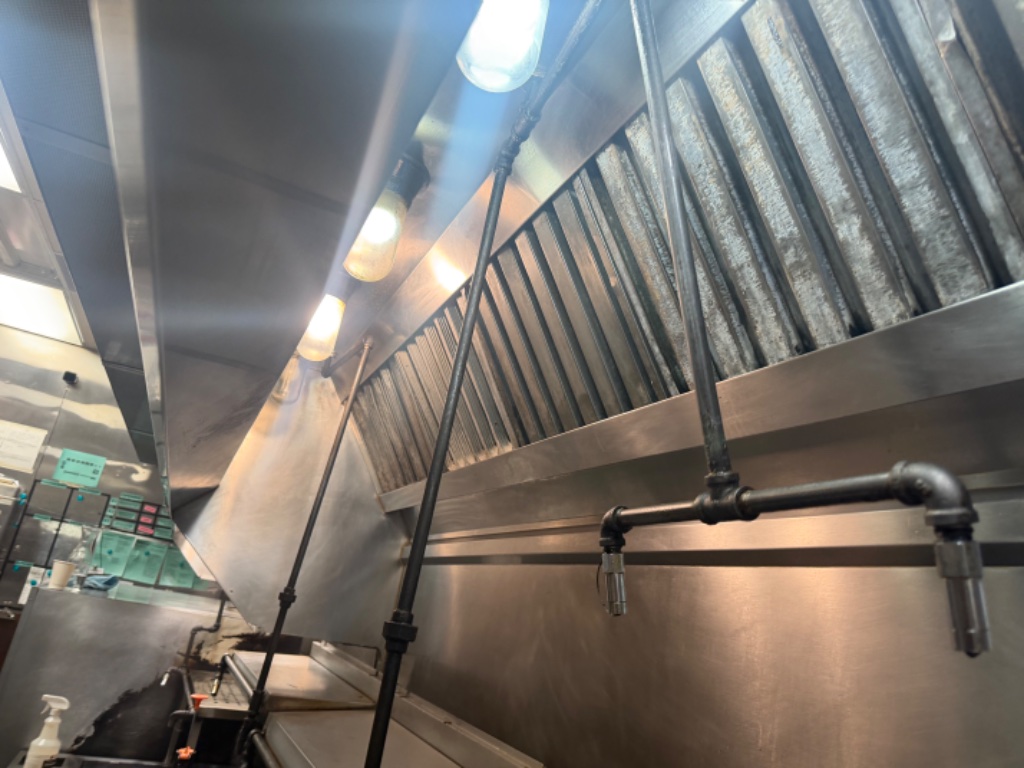 Commercial kitchen hood system