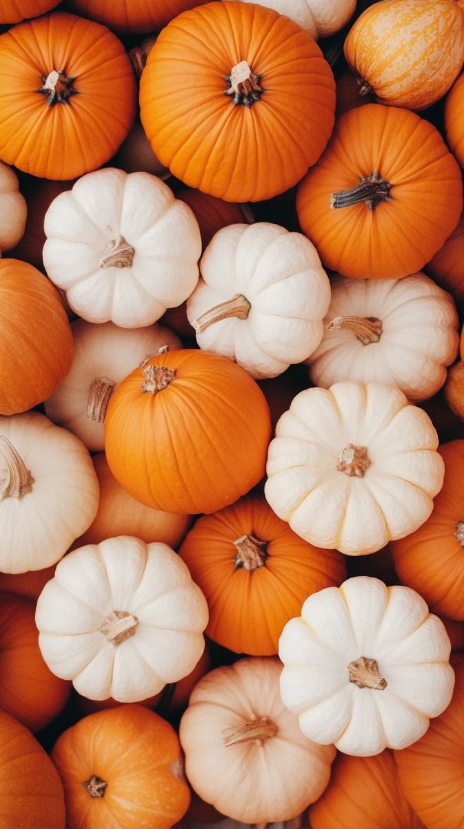 Fall Menu