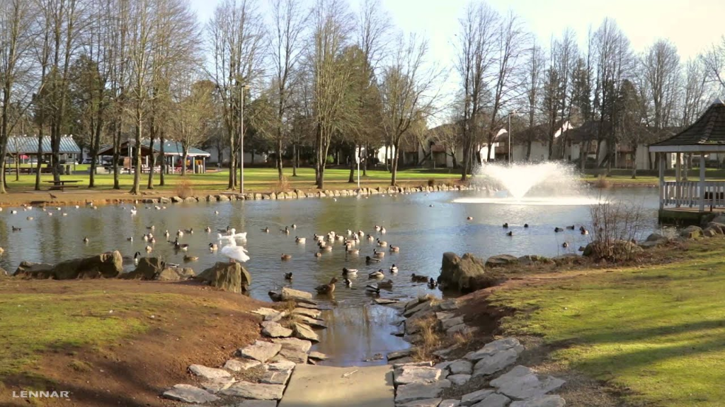 Winding Creek
