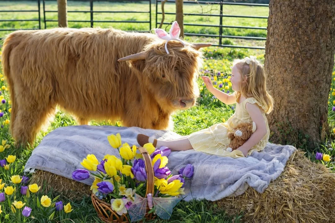 Studio Gallery 8 — Country Strong Photography