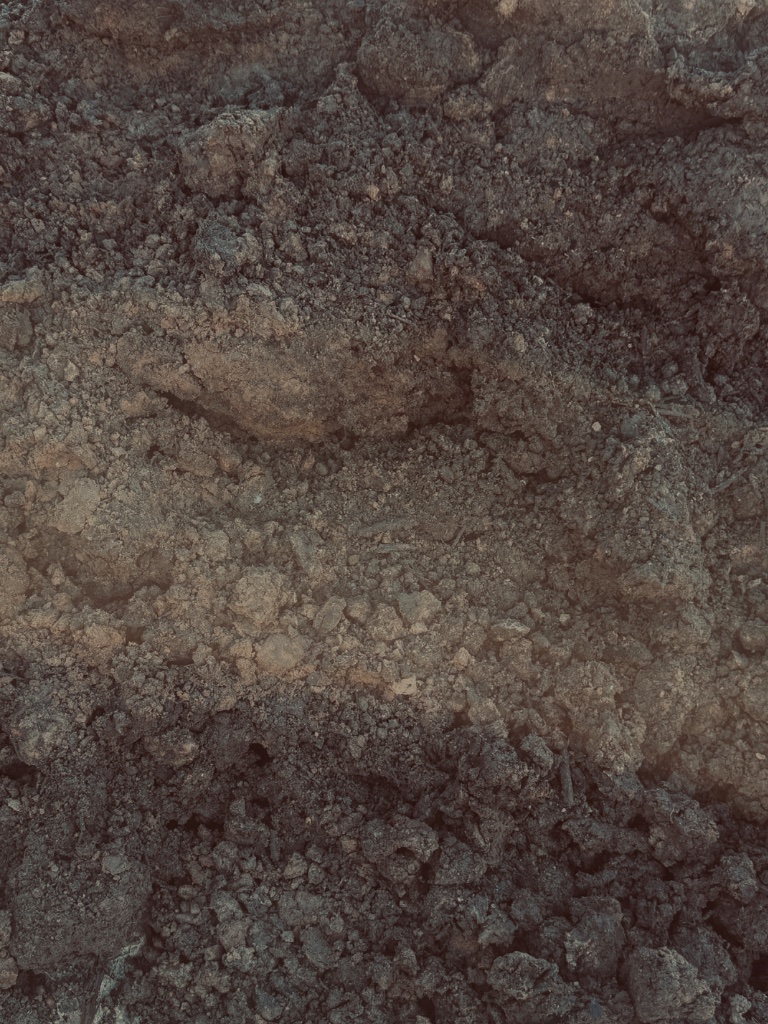 Enriched Topsoil