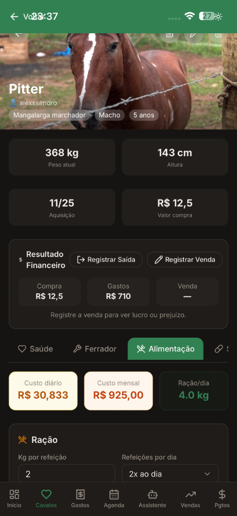 Ficha do cavalo
