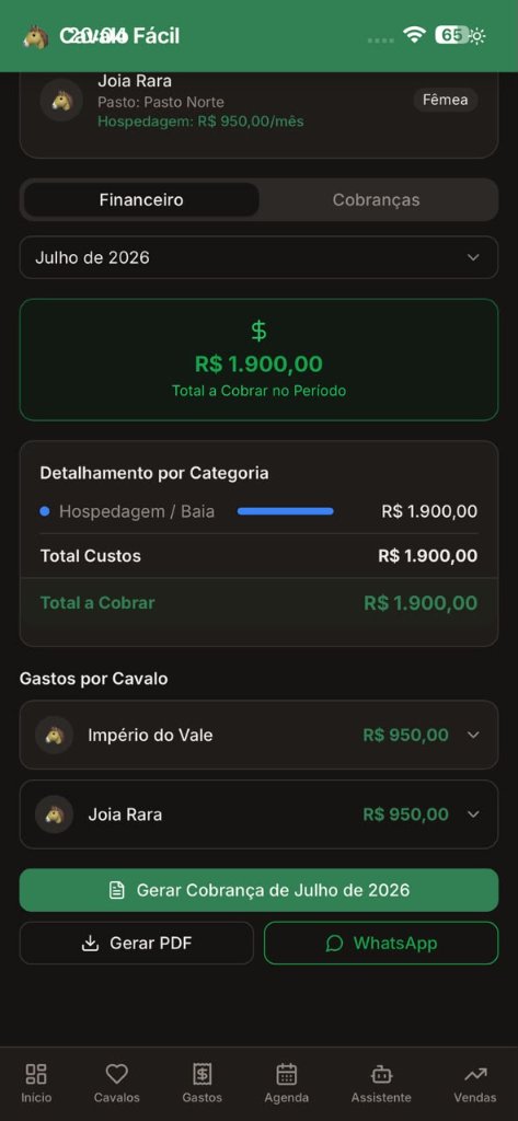 Donos com mensalidade, valor em aberto e vencimento
