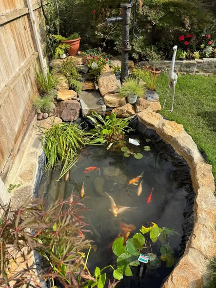Complete Garden Transformation — Pergola, Porcelain Paving, Sleeper Wall, Pond & Turf photo 2