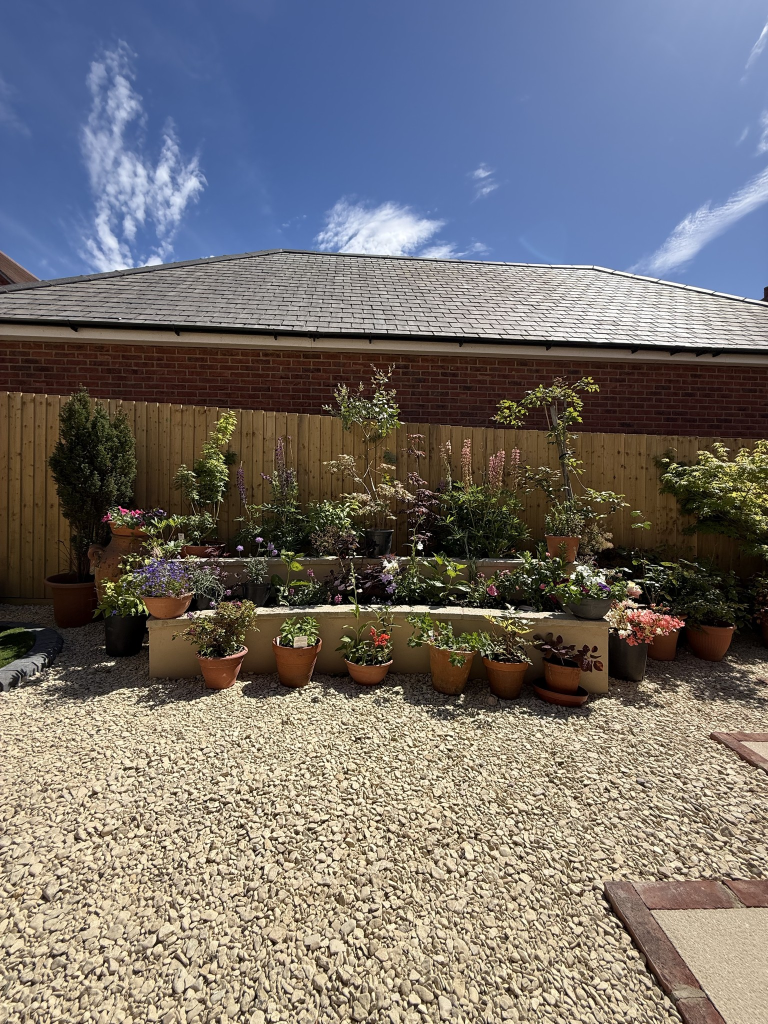 Extended patio