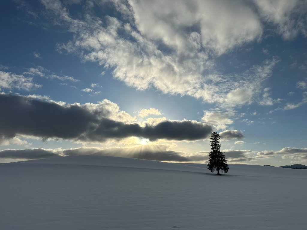 Hokkaido snow landscape