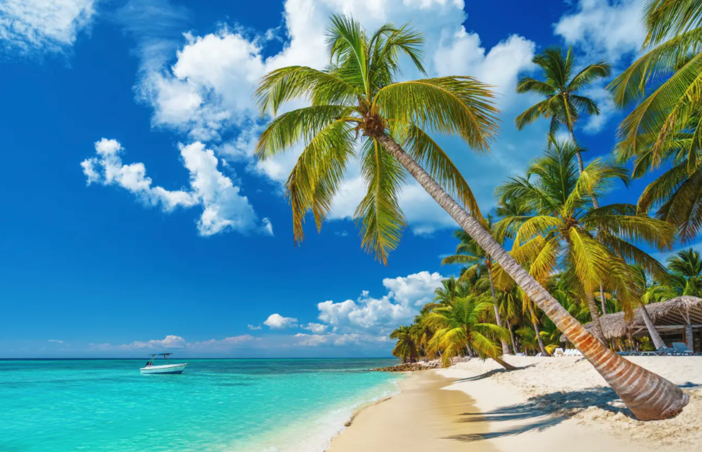 The Dominican Experience Community